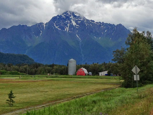 Discovering Wasilla, Alaska: A Hidden Gem In The Last Frontier