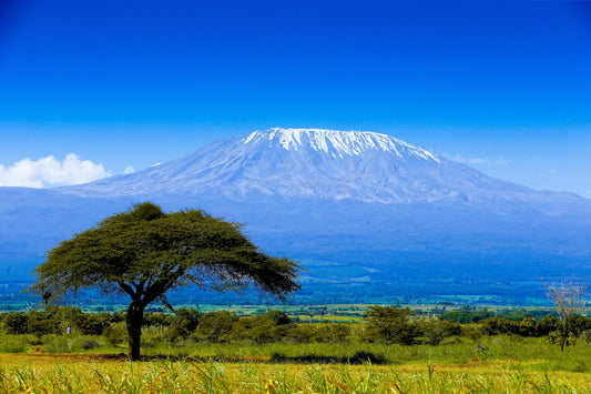 Top 10 Must-see Attractions In Moshi, Tanzania