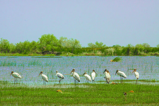 Discovering Tisma: A Hidden Gem In Nicaragua