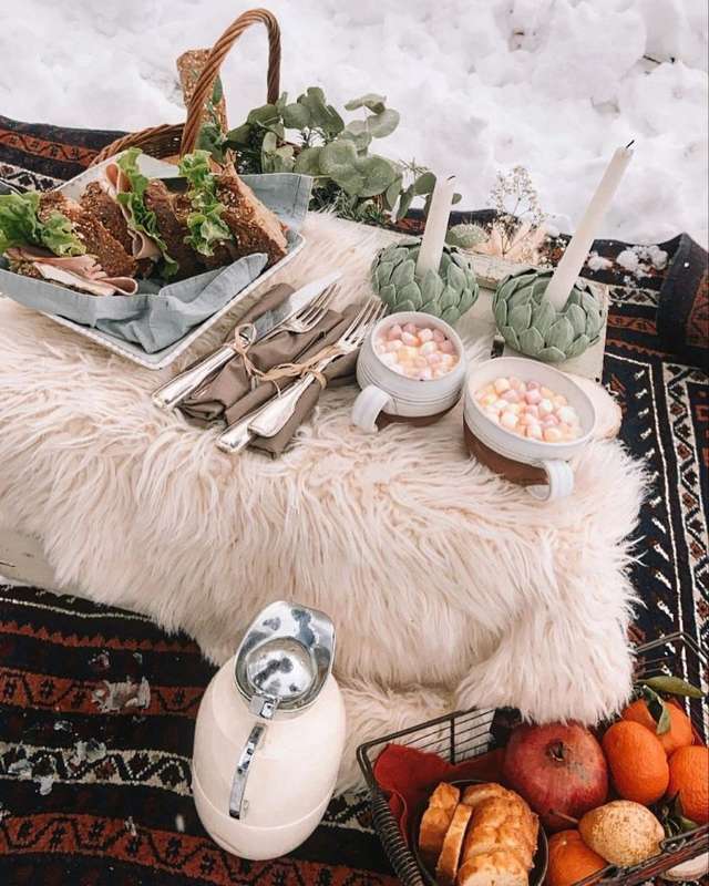 Winter Picnics: Enjoying Hot Chocolate by Dutch Windmills