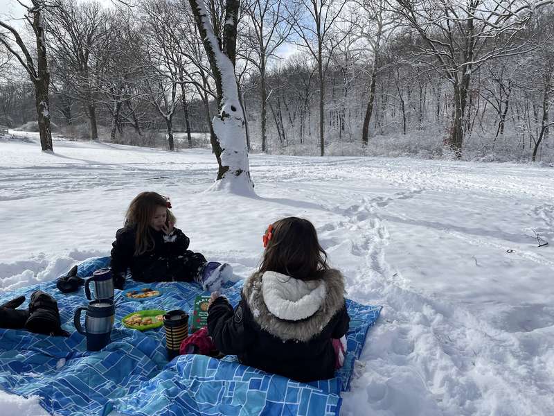 Winter Picnics in the Netherlands: Windmills and Snowy Landscapes