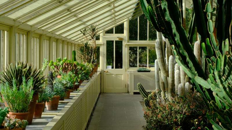 Indoor Gardens at Winter Festivals: A Hidden Delight