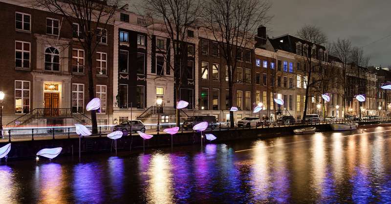 Amsterdam Light Festival: Illuminating the City's Canals