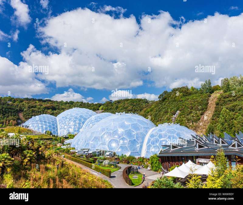 Exploring the Unique Flora of the Eden Project's Biomes