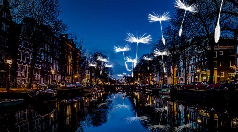Amsterdam Light Festival: Illuminating the City's Canals