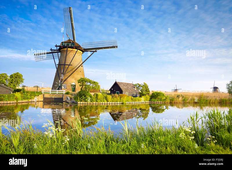 Exploring Kinderdijk's Snowy Trails: A Winter Walk Among Windmills