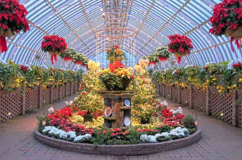 Winter Plant Exhibits: A Unique Indoor Botanical Experience