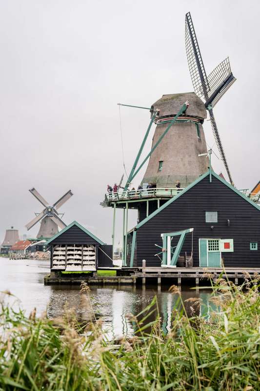 Zaanse Schans Windmills Transform into Ice Rinks Each Winter