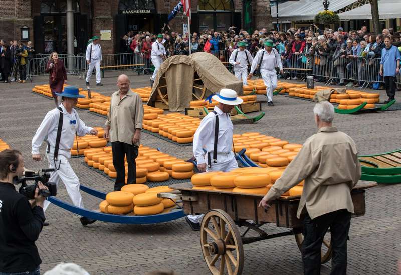 Unveiling Alkmaar's Cheese Market: Traditions and Rituals