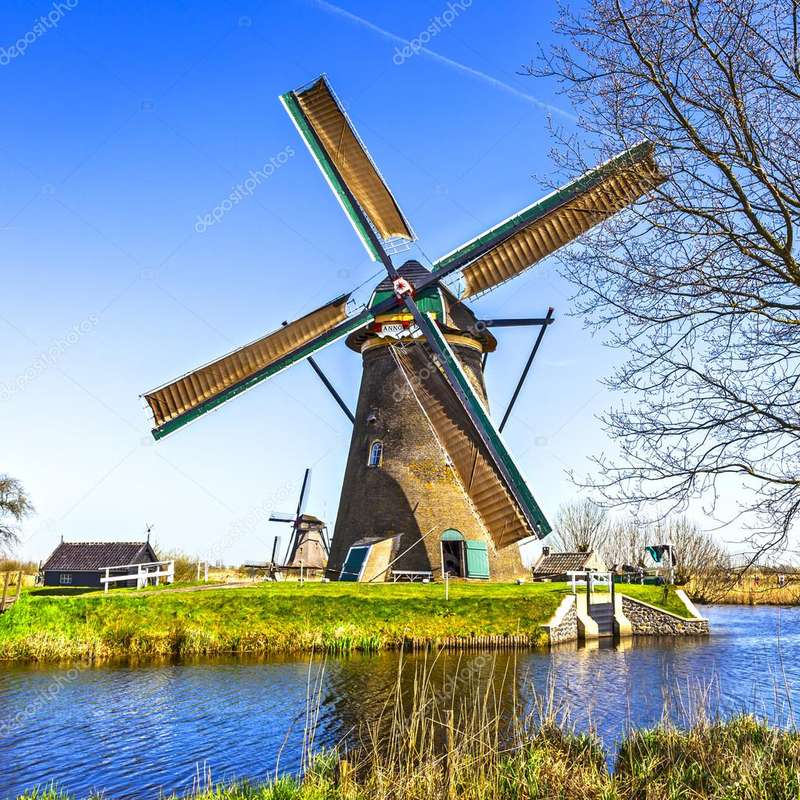 Winter Picnics by Holland's Windmills: Hot Cocoa and Scenic Views